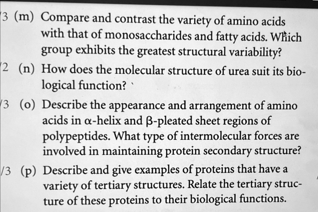 3 (m) Compare and contrast the variety of amino acids
with that of monosaccharides and fatty acids. Which
group exhibits the greatest structural variability?
2 (n) How does the molecular structure of urea suit its bio-
logical function?
3 (o) Describe the appearance and arrangement of amino
acids in α-helix and β-pleated sheet regions of
polypeptides. What type of intermolecular forces are
involved in maintaining protein secondary structure?
/3 (p) Describe and give examples of proteins that have a
variety of tertiary structures. Relate the tertiary struc-
ture of these proteins to their biological functions.