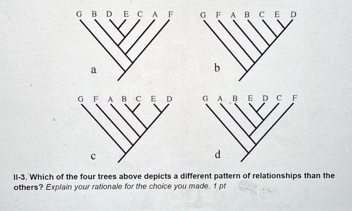 G B D E C A F
G F A B C E D
a
b
G F A B C E D
G A B E D C F
c
d
II-3. Which of the four trees above depicts a different pattern of relationships than the
others? Explain your rationale for the choice you made. 1 pt