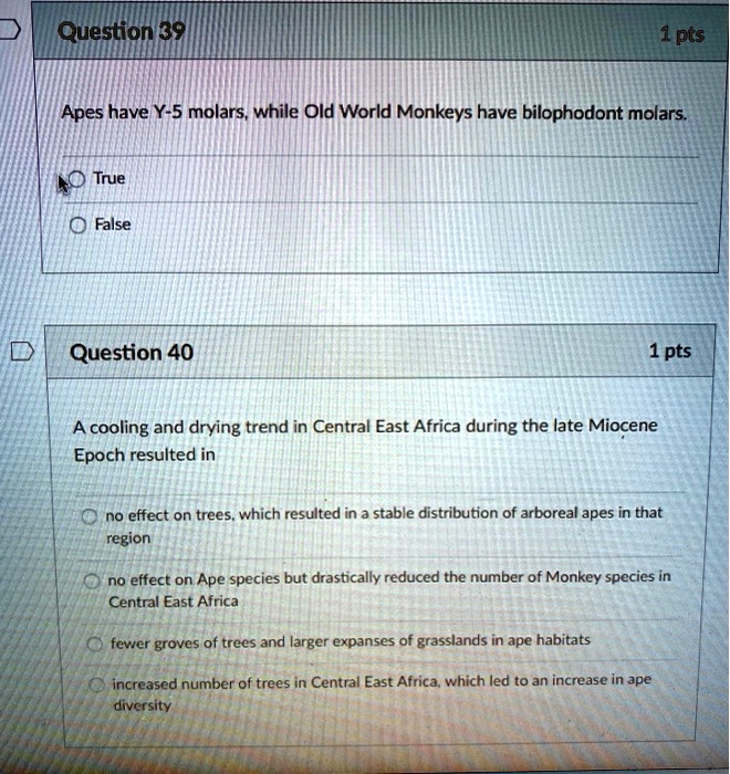 SOLVED Question 39 Apes have Y5 molars, while Old World Monkeys have bilophodont molars True