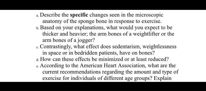 a. Describe the specific changes seen in the microscopic anatomy of the sponge bone in response to exercise. b. Based on your explanations, what would you expect to be thicker and heavier; the arm bones of a weightlifter or the arm bones of a jogger? c. Contrastingly, what effect does sedentarism, weightlessness in space or in bedridden patients, have on bones? d. How can these effects be minimized or at least reduced? e. According to the American Heart Association, what are the current recommendations regarding the amount and type of exercise for individuals of different age groups? Explain