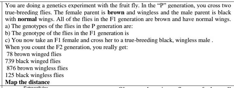 You are doing a genetics experiment with the fruit fly. In the "P" generation, you cross two true-breeding flies. The female parent is brown and wingless and the male parent is black with normal wings. All of the flies in the F1 generation are brown and have normal wings.
a) The genotypes of the flies in the P generation are:
b) The genotype of the flies in the F1 generation is
c) You now take an F1 female and cross her to a true-breeding black, wingless male .
When you count the F2 generation, you really get:
78 brown winged flies
739 black winged flies
876 brown wingless flies
125 black wingless flies
Map the distance