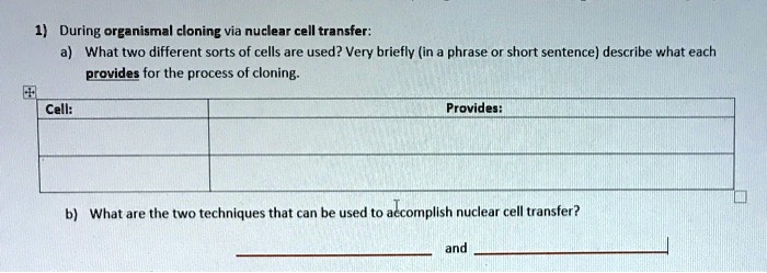 1) During organismal cloning via nuclear cell transfer:
a) What two different sorts of cells are used? Very briefly (in a phrase or short sentence) describe what each provides for the process of cloning.
Cell: Provides:
b) What are the two techniques that can be used to accomplish nuclear cell transfer?
and