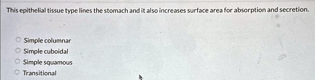 This epithelial tissue type lines the stomach and it also increases surface area for absorption and secretion.
Simple columnar
Simple cuboidal
Simple squamous
Transitional