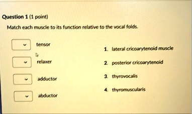 question 1 1 point match each muscle to its function relative to the vocal folds tensor relaxer adductor abductor 1 lateral cricoarytenoid muscle 2 posterior cricoarytenoid 3 thyrovocalis 4  56466