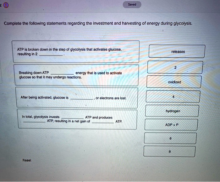 Which Of The Following Statements Regarding Glucose Absorption Is True SOLVED: Solved Complete the following statements regarding the