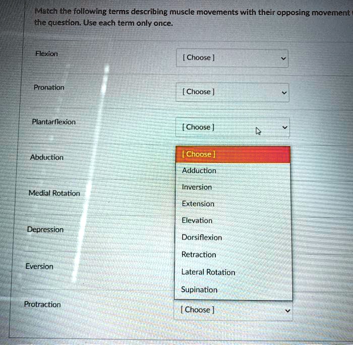 SOLVED Match the following terms describing muscle movements with