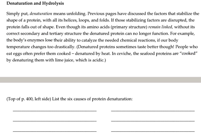 Denaturation and Hydrolysis

Simply put, denaturation means unfolding. Previous pages have discussed the factors that stabilize the shape of a protein, with all its helices, loops, and folds. If those stabilizing factors are disrupted, the protein falls out of shape. Even though its amino acids (primary structure) remain linked, without its correct secondary and tertiary structure the denatured protein can no longer function. For example, the body's enzymes lose their ability to catalyze the needed chemical reactions, if our body temperature changes too drastically. (Denatured proteins sometimes taste better though! People who eat eggs often prefer them cooked – denatured by heat. In ceviche, the seafood proteins are "cooked" by denaturing them with lime juice, which is acidic.)

List the six causes of protein denaturation: