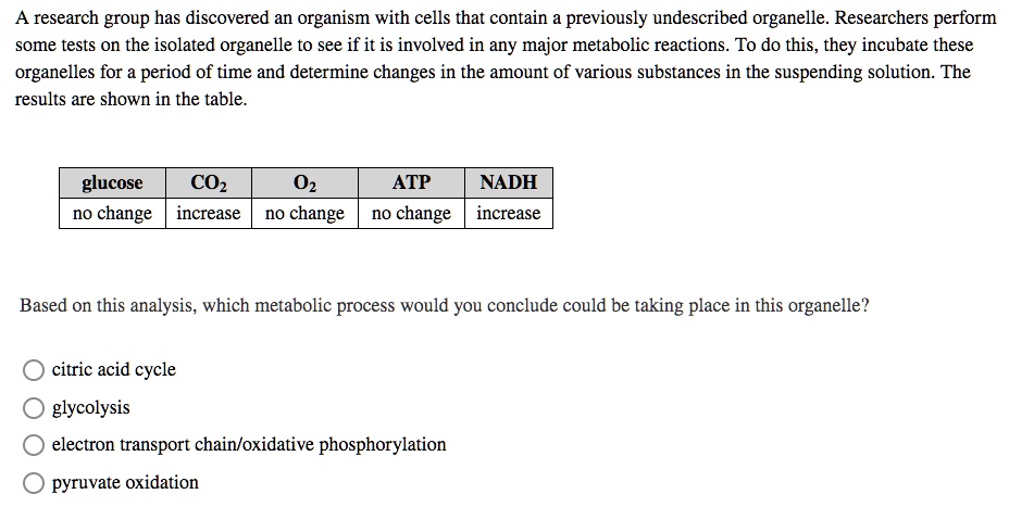 A research group has discovered an organism with cells that contain a previously undescribed organelle. Researchers perform some tests on the isolated organelle to see if it is involved in any major metabolic reactions. To do this, they incubate these organelles for a period of time and determine changes in the amount of various substances in the suspending solution. The results are shown in the table.

glucose | CO2 | O2 | ATP | NADH
no change | increase | no change | no change | increase

Based on this analysis, which metabolic process would you conclude could be taking place in this organelle?

citric acid cycle
glycolysis
electron transport chain/oxidative phosphorylation
pyruvate oxidation
