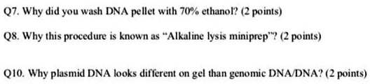 SOLVED: Q7. Why did you wash DNA pellet with 70% ethanol? (2 points) 08 ...