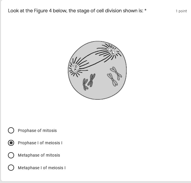 SOLVED: 'Look at the Figure 4 below, the stage of cell division shown ...