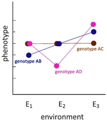 VIDEO solution: What is the name of this graph? Explain what can be see ...