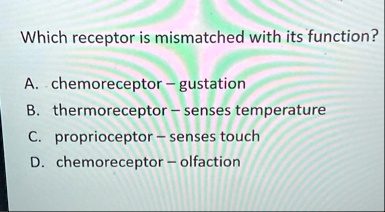 which receptor is mismatched with its function a chemoreceptor gustation b thermoreceptor senses temperature c proprioceptor senses touch d chemoreceptor olfaction 26396