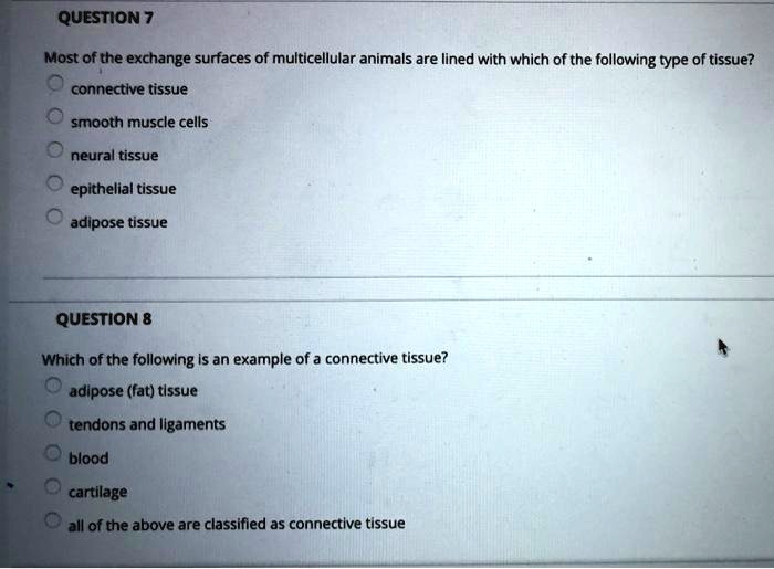 Most of the exchange surfaces of multicellular animals are lined with which of the following type of tissue?
connective tissue
smooth muscle cells
neural tissue
epithelial tissue
adipose tissue
Which of the following is an example of a connective tissue?
adipose (fat) tissue
tendons and ligaments
blood
cartilage
all of the above are classified as connective tissue