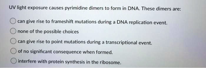 UV light exposure causes pyrimidine dimers to form in DNA. These dimers are:
can give rise to frameshift mutations during a DNA replication event.
none of the possible choices
can give rise to point mutations during a transcriptional event.
of no significant consequence when formed.
interfere with protein synthesis in the ribosome.