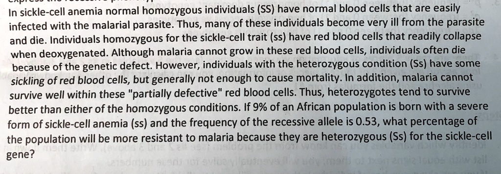 In sickle-cell anemia normal homozygous individuals (SS) have normal blood cells that are easily infected with the malarial parasite. Thus, many of these individuals become very ill from the parasite and die. Individuals homozygous for the sickle-cell trait (ss) have red blood cells that readily collapse when deoxygenated. Although malaria cannot grow in these red blood cells, individuals often die because of the genetic defect. However, individuals with the heterozygous condition (Ss) have some sickling of red blood cells, but generally not enough to cause mortality. In addition, malaria cannot survive well within these "partially defective" red blood cells. Thus, heterozygotes tend to survive better than either of the homozygous conditions. If 9% of an African population is born with a severe form of sickle-cell anemia (ss) and the frequency of the recessive allele is 0.53, what percentage of the population will be more resistant to malaria because they are heterozygous (Ss) for the sickle-cell gene?