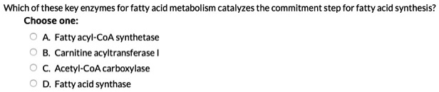 Which of these key enzymes for fatty acid metabolism catalyzes the commitment step for fatty acid synthesis?
Choose one:
A. Fatty acyl-CoA synthetase
B. Carnitine acyltransferase I
C. Acetyl-CoA carboxylase
D. Fatty acid synthase