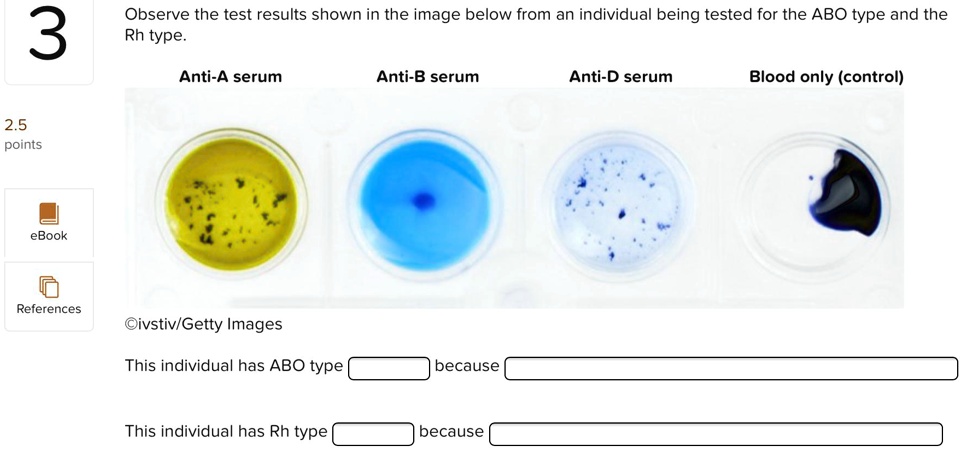 SOLVED: Observe The Test Results Shown In The Image Below From An ...