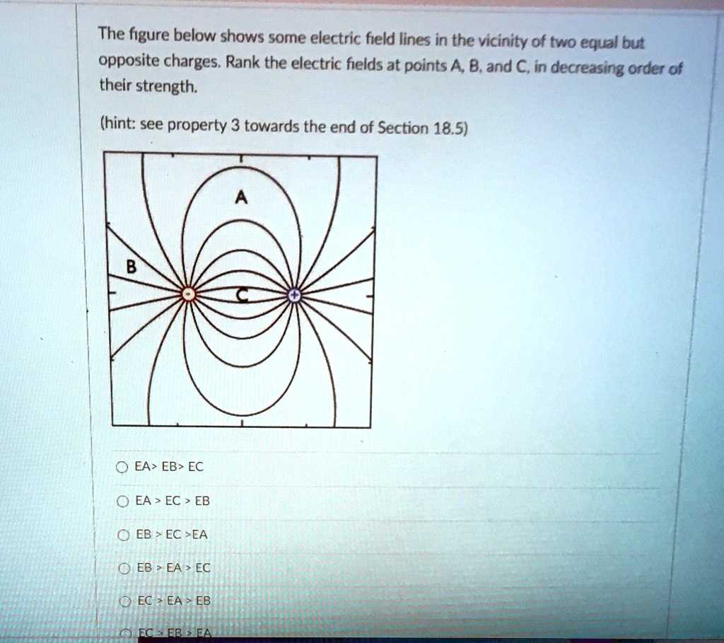 The figure below shows some electric field lines in the vicinity of two ...