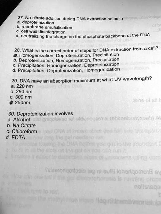 SOLVED Nacitrate addition during DNA extraction helps in