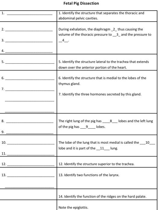 SOLVED Fetal Pig Dissection 1. Identify the structure that separates