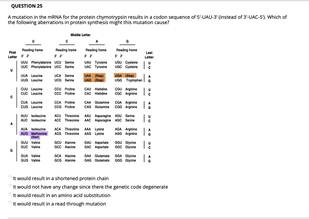 A mutation in the mRNA for the protein chymotrypsin results in a codon sequence of 5'-UAU-3' (instead of 3'-UAC-5'). Which of the following aberrations in protein synthesis might this mutation cause?

Middle Letter
First Letter
U
Reading frame
5' 3'
UUU Phenylalanine
UUC Phenylalanine
UUA Leucine
UUG Leucine
C
Reading frame
5' 3'
UCU Serine
UCC Serine
UCA Serine
UCG Serine
A
Reading frame
5' 3'
UAU Tyrosine
UAC Tyrosine
UAA (Stop)
UAG (Stop)
G
Reading frame
5' 3'
UGU Cysteine
UGC Cysteine
UGA (Stop)
UGG Tryptophan
Last Letter
U
C
A
G
C
CUU Leucine
CUC Leucine
CUA Leucine
CUG Leucine
CCU Proline
CCC Proline
CCA Proline
CCG Proline
CAU Histidine
CAC Histidine
CAA Glutamine
CAG Glutamine
CGU Arginine
CGC Arginine
CGA Arginine
CGG Arginine
U
C
A
G
A
AUU Isoleucine
AUC Isoleucine
AUA Isoleucine
AUG Methionine (Start)
ACU Threonine
ACC Threonine
ACA Threonine
ACG Threonine
AAU Asparagine
AAC Asparagine
AAA Lysine
AAG Lysine
AGU Serine
AGC Serine
AGA Arginine
AGG Arginine
U
C
A
G
G
GUU Valine
GUC Valine
GUA Valine
GUG Valine
GCU Alanine
GCC Alanine
GCA Alanine
GCG Alanine
GAU Aspartate
GAC Aspartate
GAA Glutamate
GAG Glutamate
GGU Glycine
GGC Glycine
GGA Glycine
GGG Glycine
U
C
A
G

It would result in a shortened protein chain
It would not have any change since there the genetic code degenerate
It would result in an amino acid substitution
It would result in a read through mutation