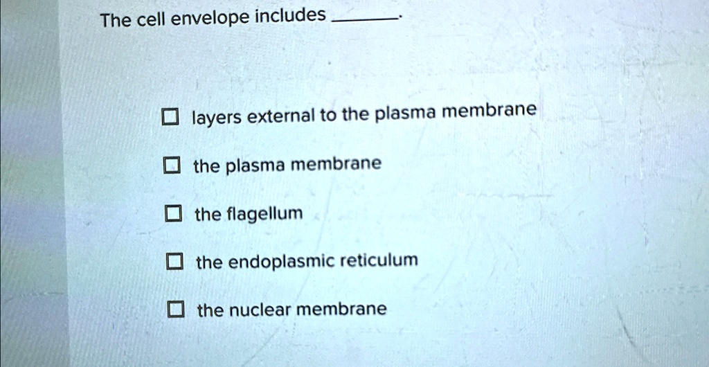 The cell envelope includes
layers external to the plasma membrane
the plasma membrane
the flagellum
the endoplasmic reticulum
the nuclear membrane