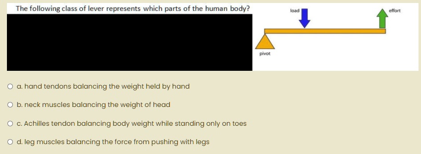 SOLVED: The following class of lever represents which parts of the ...