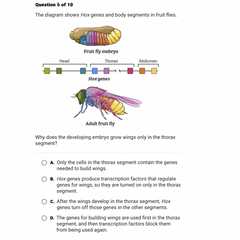 SOLVED Question 5 of 10 The diagram shows Hox genes and body segments