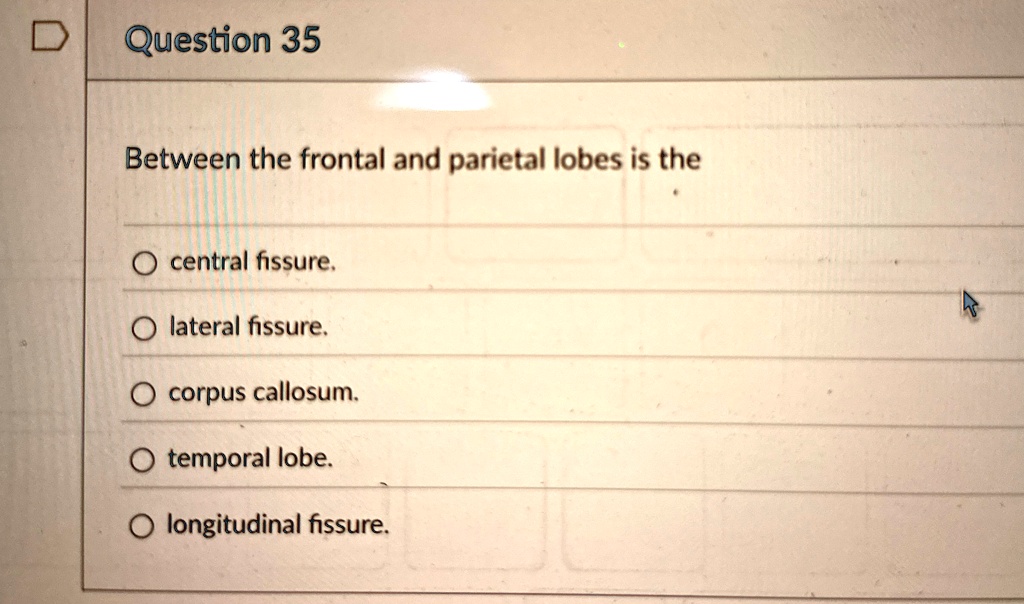 Question 35
Between the frontal and parietal lobes is the
O central fissure.
O lateral fissure.
O corpus callosum.
O temporal lobe.
O longitudinal fissure.
