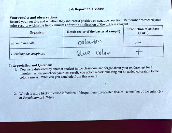 Lab Report 22 Oxidase Your results and observations Record your