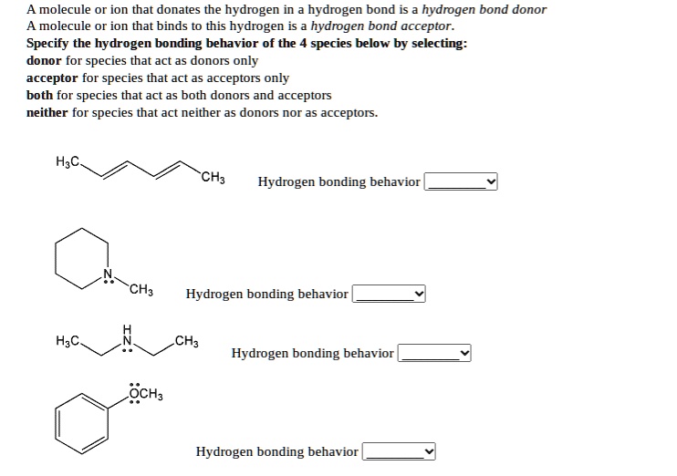 SOLVED:A molecule Or ion that donates the hydrogen in hydrogen bond is ...