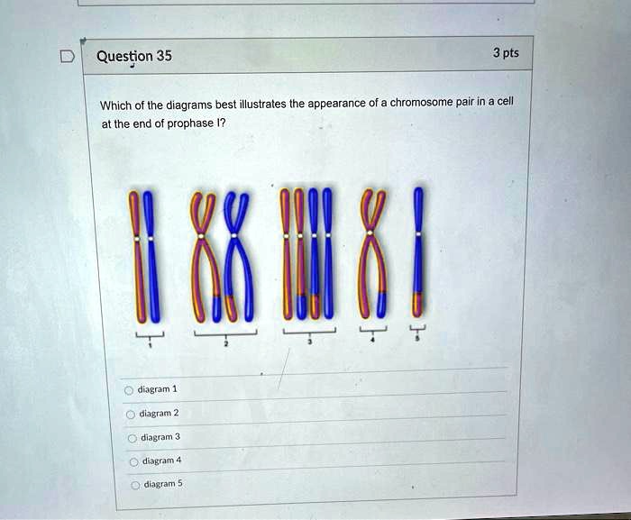 SOLVED: Which of the diagrams best illustrates the appearance of a ...