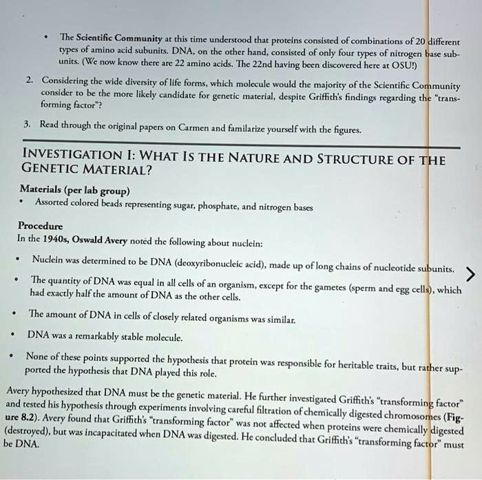 The Scientific Community at this time understood that proteins consisted of combinations of 20 different types of amino acid subunits. DNA, on the other hand, consisted of only four types of nitrogen base subunits. (We now know there are 22 amino acids. The 22nd having been discovered here at OSU!)

2. Considering the wide diversity of life forms, which molecule would the majority of the Scientific Community consider to be the more likely candidate for genetic material, despite Griffith's findings regarding the "transforming factor"?

3. Read through the original papers on Carmen and familiarize yourself with the figures.

INVESTIGATION I: WHAT IS THE NATURE AND STRUCTURE OF THE GENETIC MATERIAL?

Materials (per lab group)
Assorted colored beads representing sugar, phosphate, and nitrogen bases

Procedure
In the 1940s, Oswald Avery noted the following about nuclein:

Nuclein was determined to be DNA (deoxyribonucleic acid), made up of long chains of nucleotide subunits.
The quantity of DNA was equal in all cells of an organism, except for the gametes (sperm and egg cells), which had exactly half the amount of DNA as the other cells.
The amount of DNA in cells of closely related organisms was similar.
DNA was a remarkably stable molecule.
None of these points supported the hypothesis that protein was responsible for heritable traits, but rather supported the hypothesis that DNA played this role.

Avery hypothesized that DNA must be the genetic material. He further investigated Griffith's "transforming factor" and tested his hypothesis through experiments involving careful filtration of chemically digested chromosomes (Figure 8.2). Avery found that Griffith's "transforming factor" was not affected when proteins were chemically digested (destroyed), but was incapacitated when DNA was digested. He concluded that Griffith's "transforming factor" must be DNA.