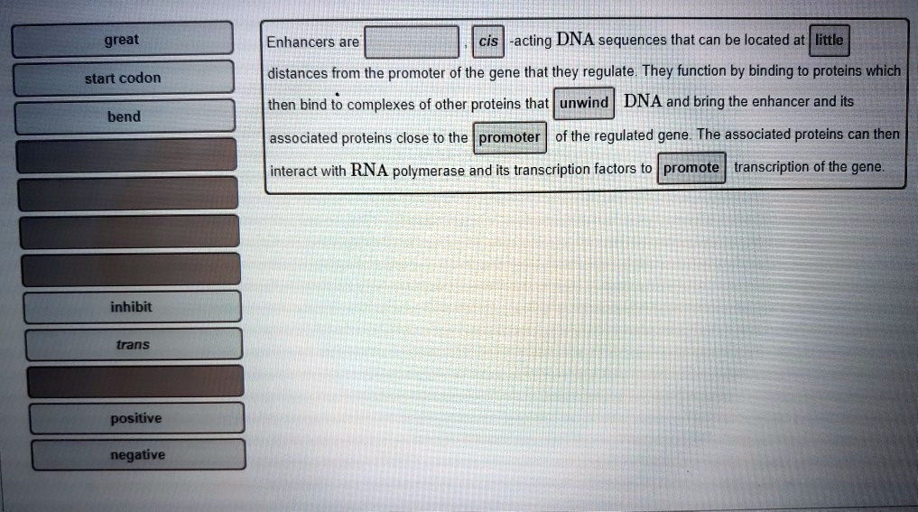 SOLVED Great enhancers are cisacting DNA sequences that can be