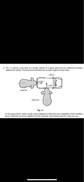 i) Fig. 4.1 shows a top view of a tourist vehicle in a game park and two elephants pushing against the vehicle. The two forces indicated are at right angles to each other.
vehicle
4.0 kN
6.0 kN
elephant
elephant
Fig. 4.1
In the space below, draw a scale vector diagram to determine the magnitude of the resultant force. Label the two forces applied and the resultant, and clearly state the scale you use.