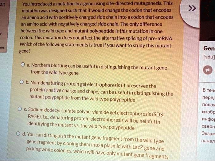 You introduced a mutation in a gene using site-directed...