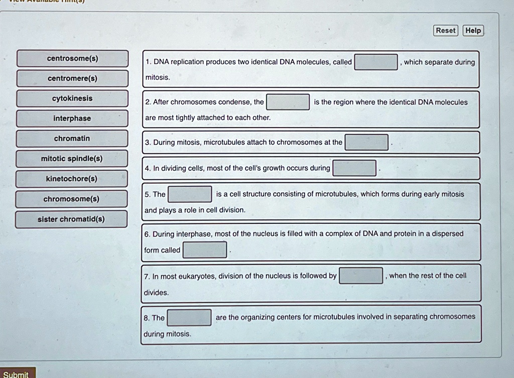 dna replication produces two identical dna molecules called which separate during centromeres ...