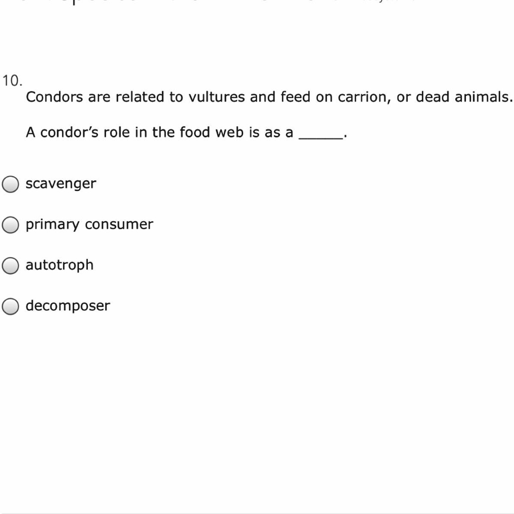 SOLVED: Help please, OMG! I'm finally finishing 10. Condors are related