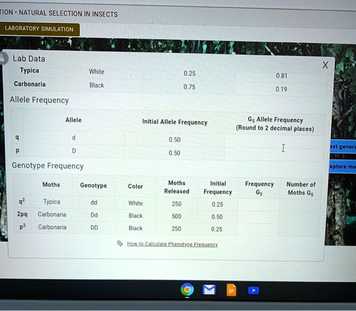 SOLVED Title Natural Selection in Insects Laboratory Simulation Lab