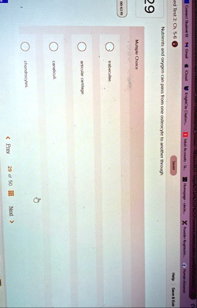 connect student ul gmail icloud knightche cation inmail accounts st homepage cmon x provider registratio human sciences help save exit saved ed test 3 ch 5 6 29 multiple choice nutrients and 94195
