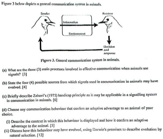 SOLVED: Texts: Figure 3 Below Depicts A General Communication System In ...