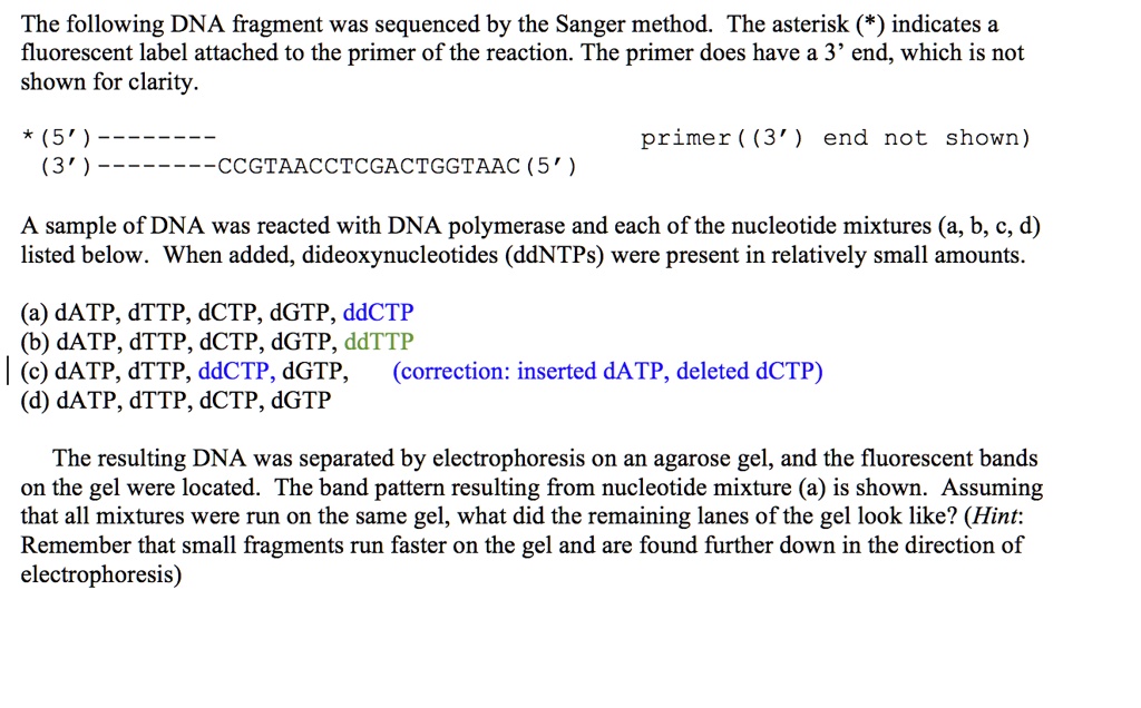 the following dna fragment was sequenced by the sanger method the ...