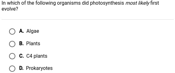 In which of the following organisms did photosynthesis most likely first
evolve?
A. Algae
B. Plants
C. C4 plants
D. Prokaryotes