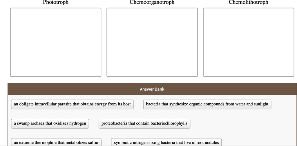 Phototroph
Chemoorganotroph
Chemolithotroph
Answer Bank
an obligate intracellular parasite that obtains energy from its host
bacteria that synthesize organic compounds from water and sunlight
a swamp archaea that oxidizes hydrogen
proteobacteria that contain bacteriochlorophylls
an extreme thermophile that metabolizes sulfur
symbiotic nitrogen-fixing bacteria that live in root nodules