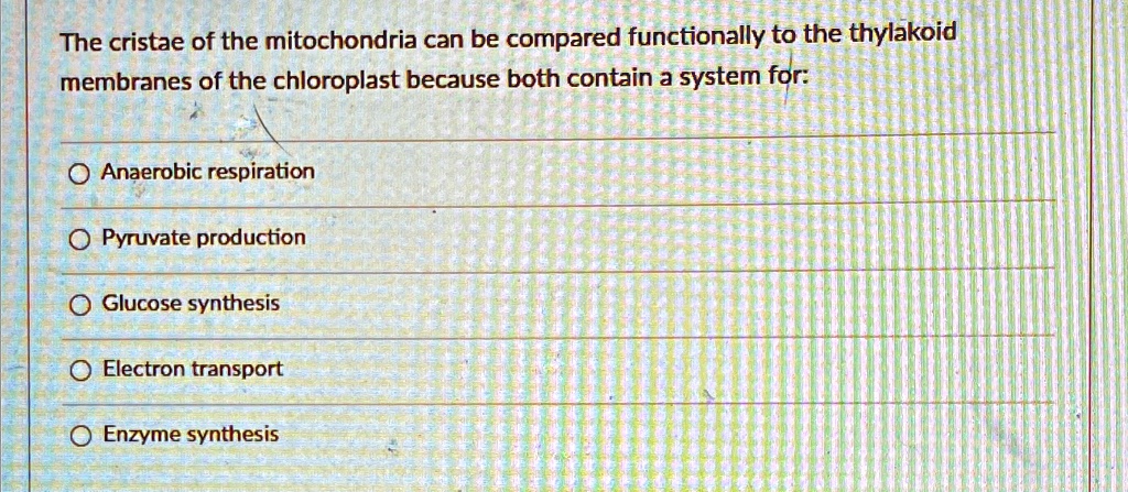 The cristae of the mitochondria can be compared functionally to the thylakoid
membranes of the chloroplast because both contain a system for:
Anaerobic respiration
Pyruvate production
Glucose synthesis
Electron transport
Enzyme synthesis