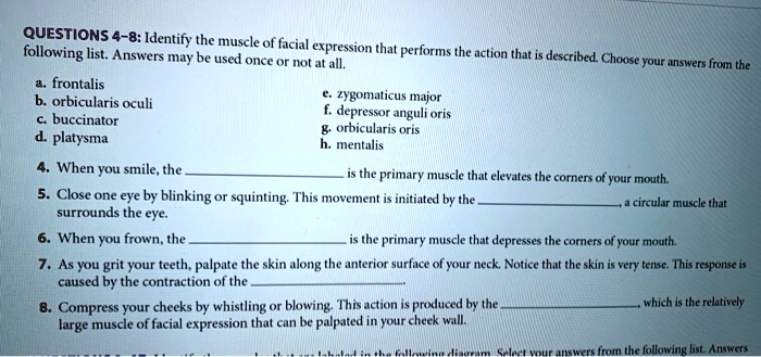 SOLVED QUESTIONS 48 Identify the muscle of facial expression