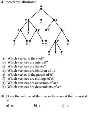 SOLVED: rooted tree illustrated Which vertex the root? b) Which ...