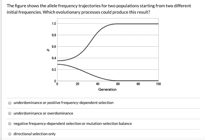 Solved The Figure Shows The Allele Frequency Trajectories For Two