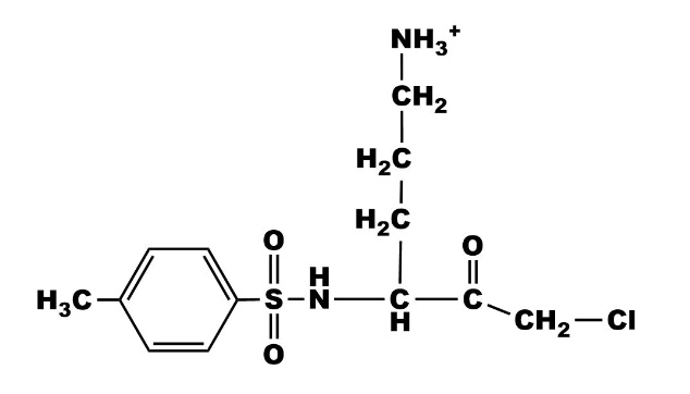 SOLVED: 'The Compound Shown Below Is An Irreversible Inhibitor Of ...