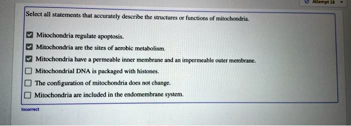 Select all statements that accurately describe the structures or functions of mitochondria. Mitochondria regulate apoptosis. Mitochondria are the sites of aerobic metabolism. Mitochondria have a permeable inner membrane and an impermeable outer membrane. Mitochondrial DNA is packaged with histones. The configuration of mitochondria does not change. Mitochondria are included in the endomembrane system.